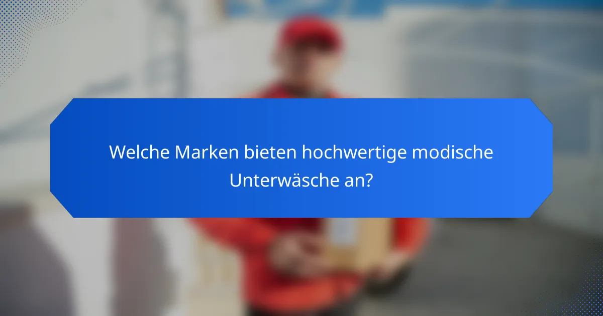 Welche Marken bieten hochwertige modische Unterwäsche an?