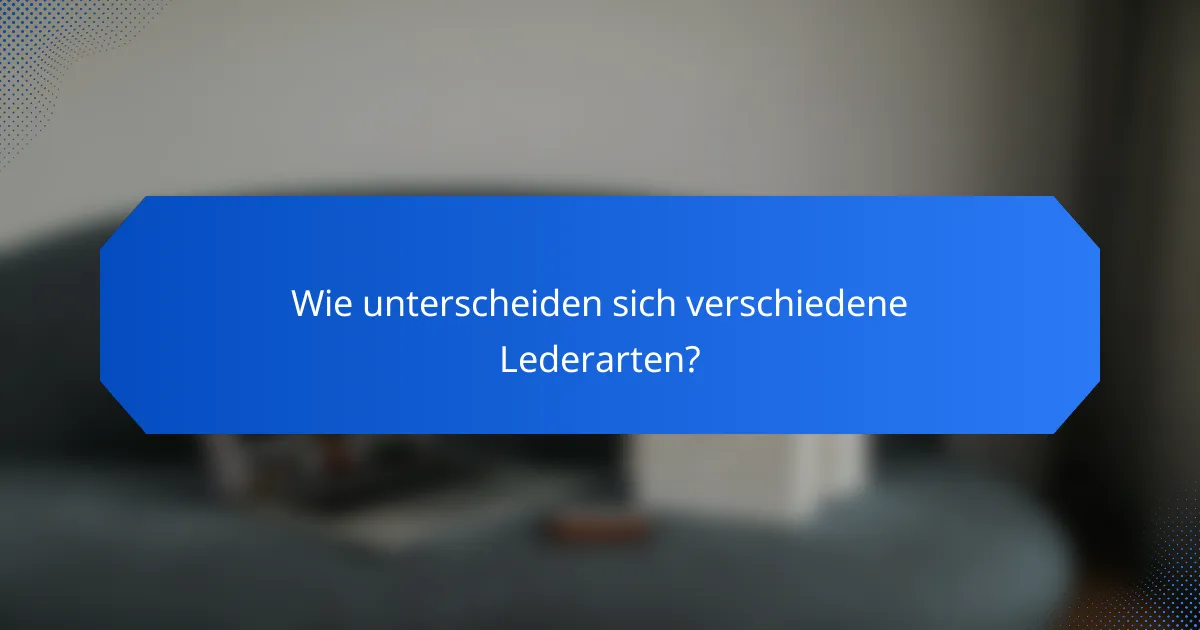 Wie unterscheiden sich verschiedene Lederarten?
